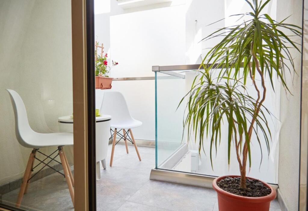 Lemon Bite Studio Stefan Building Năvodari Екстериор снимка
